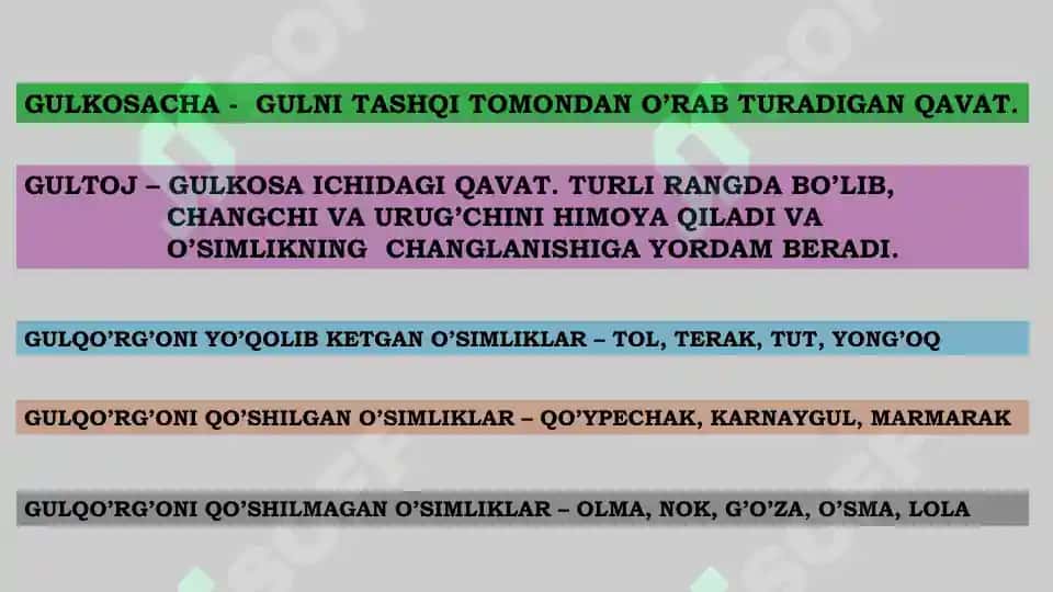 Gul va uning tuzilishi 6