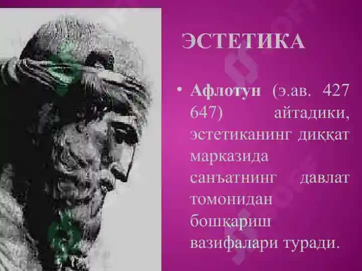 Estetika 7