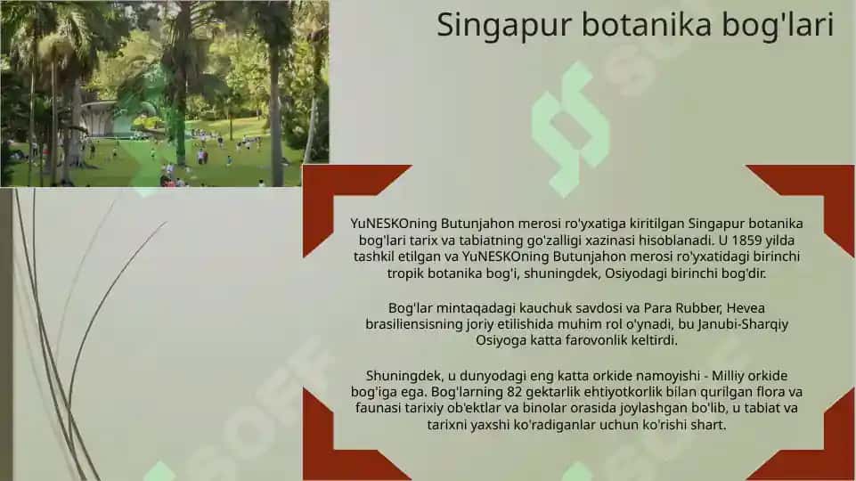 Singapur 7