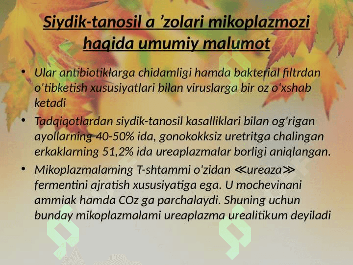 Siydik tanosil a’zolari 3