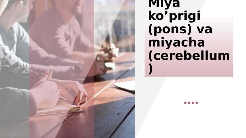 Miya ko’prigi va miyacha
