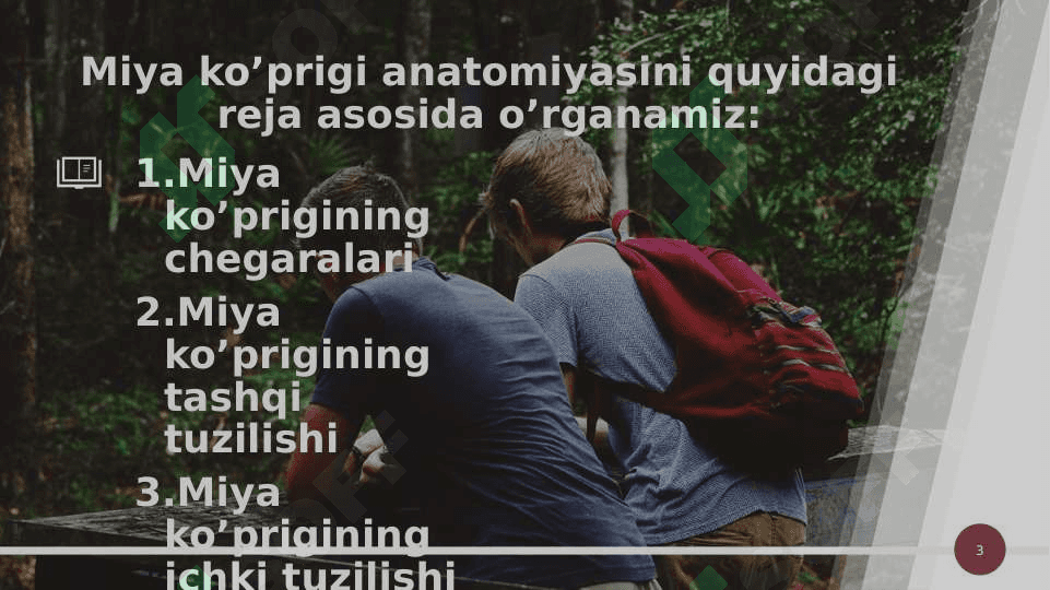 Miya ko’prigi va miyacha 3