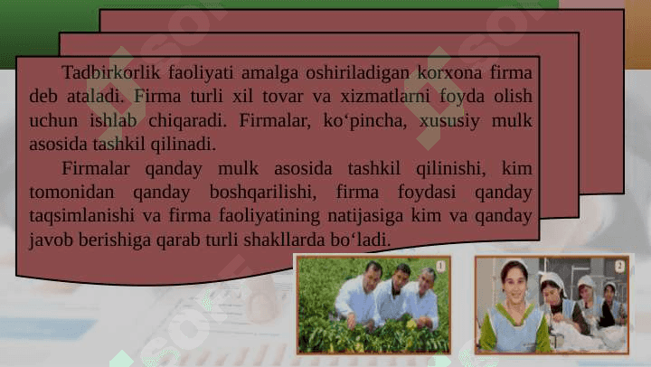 FIRMA VA UNING TURLARI 3