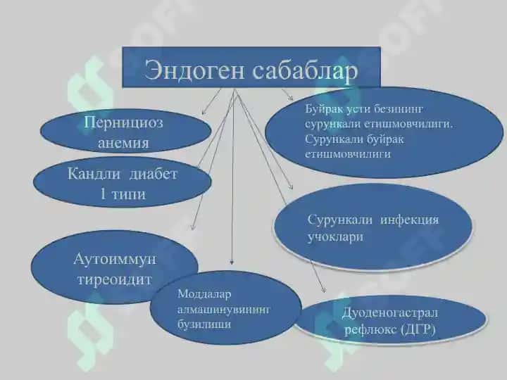 Сурункали гастрит 6