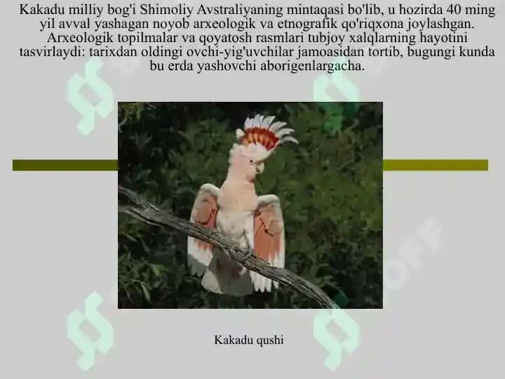 Kakadu milliy bog'i 2
