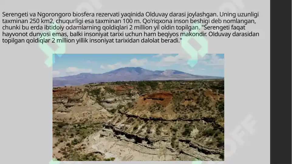 Serengeti milliy bog'i 5