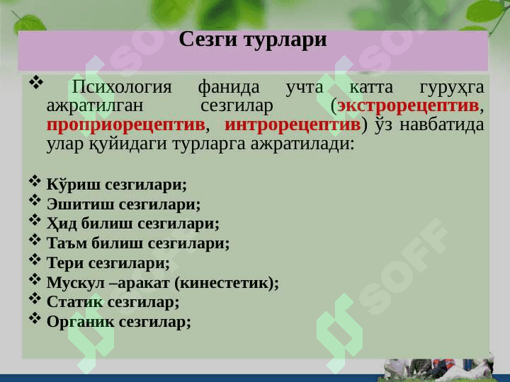 Bilish jarayonlari 6