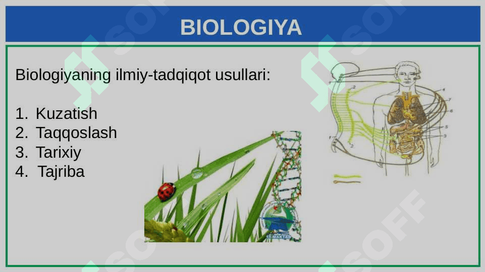 BIOLOGIYANI O'RGANISH USULLARI 7