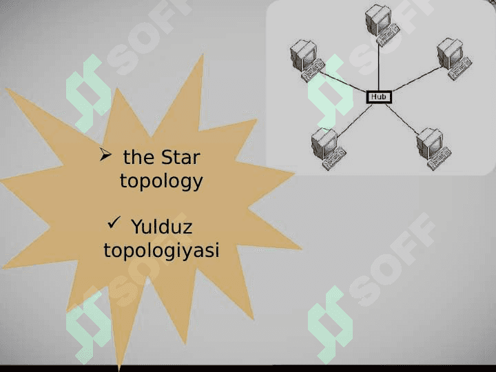 Types of network 4