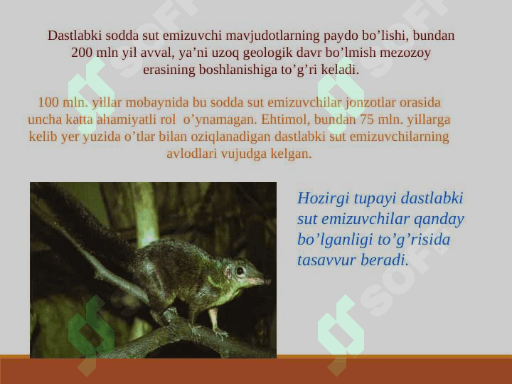 ODAM EVOLUTSIYASI 5