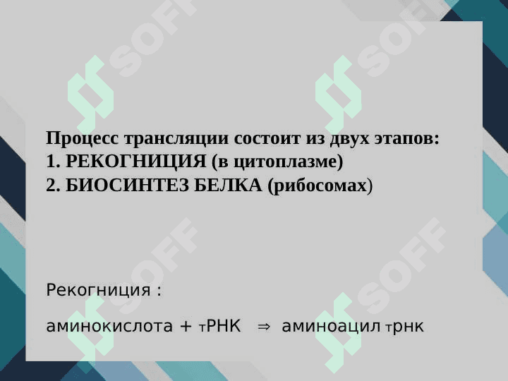 Молекулярные основы трансляции 2