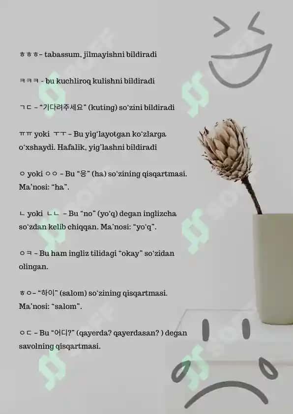 Koreys tili maktabi 3