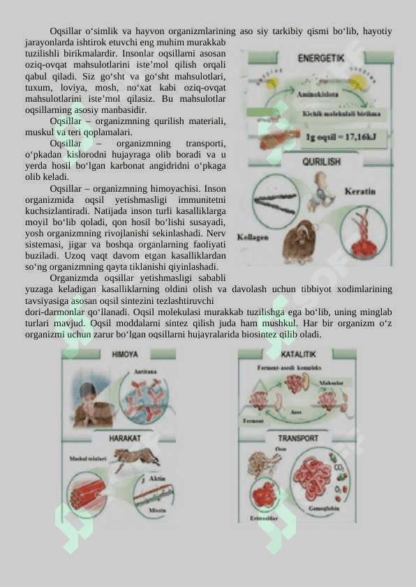 7-sinf kimyo Oqsillar. Yog’lar. Uglevodlar 3