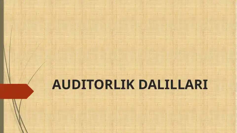 AUDITORLIK DALILLARI