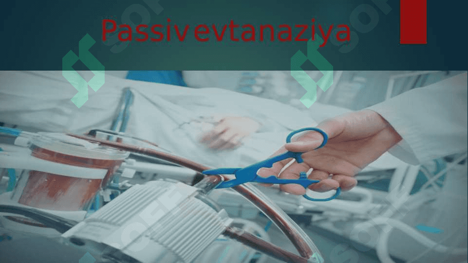 Evtanaziya muammolari 3