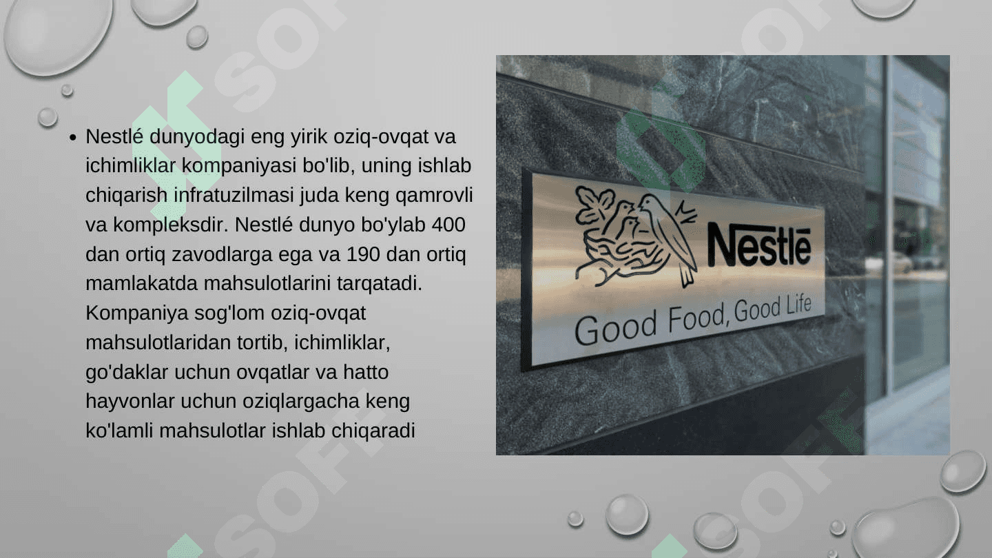 Nestle: Ishlab chiqarish infratuzilmasi va uning ta‘siri. 2