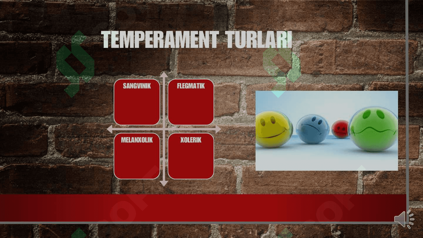 Temperament haqida tushuncha va ularning turlari. 4