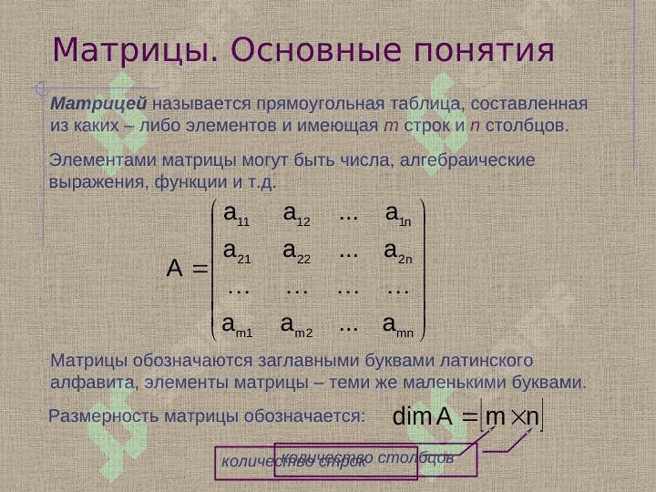 Линейная алгебра 2