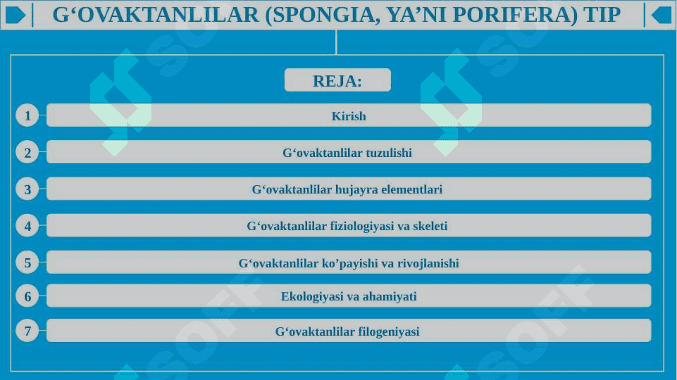 G‘OVAKTANLILAR (SPONGIA, YA’NI PORIFERA) TIP 2