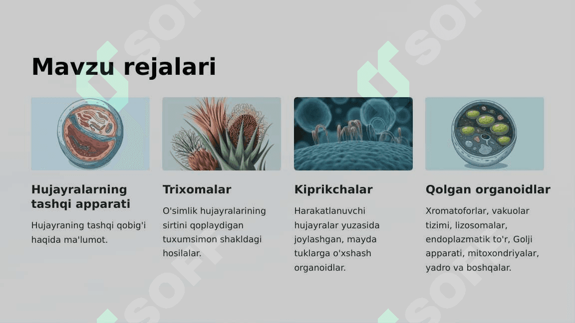 Hujayralarning tashqi apparati. Trixomalar. Kiprikchalar. 2