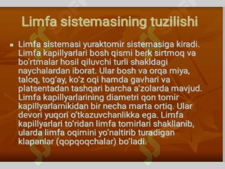 LIMFA SISTEMASI. 7