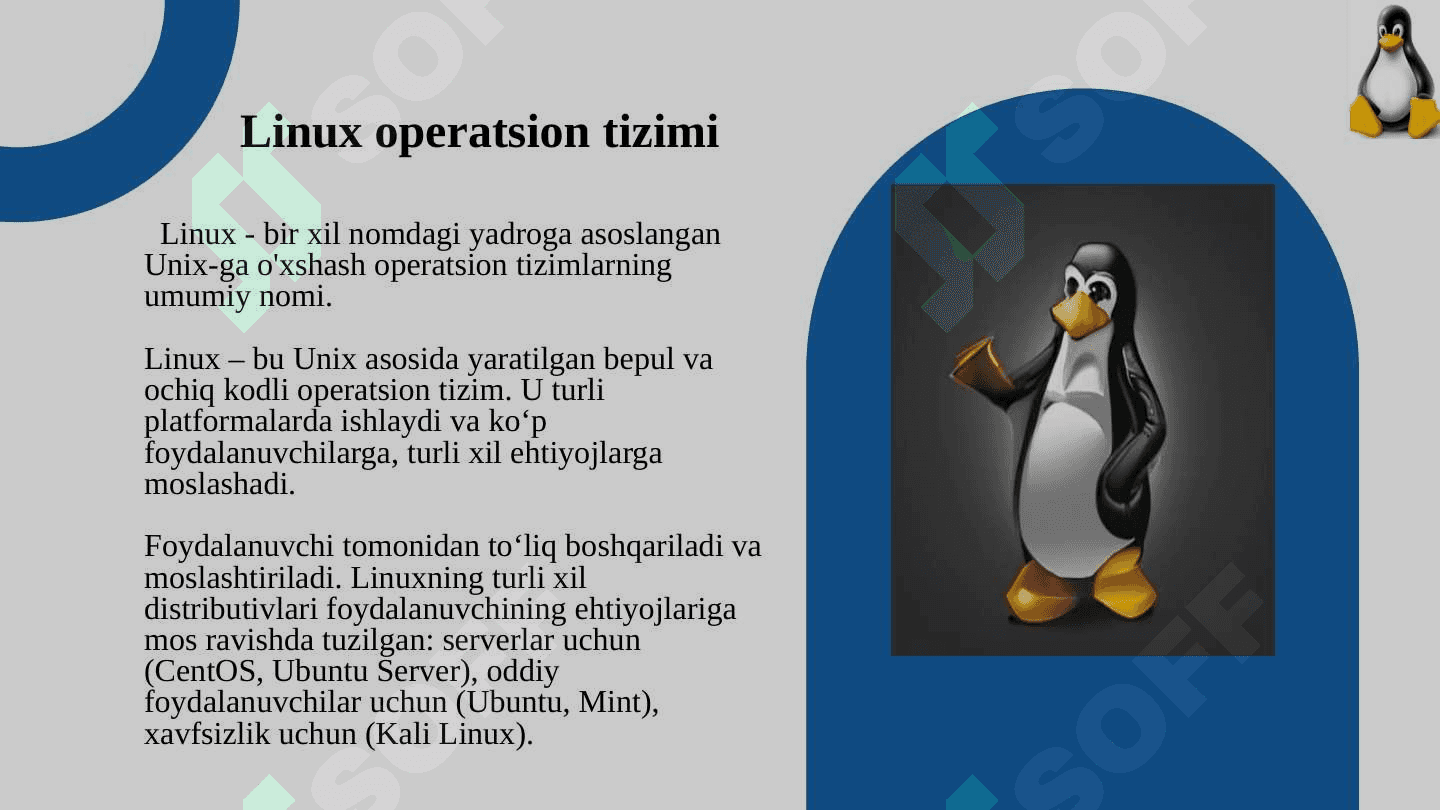 Linux OTda imtiyozlar turlari 3