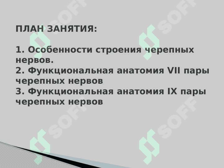 Черепномозговые нервы 2