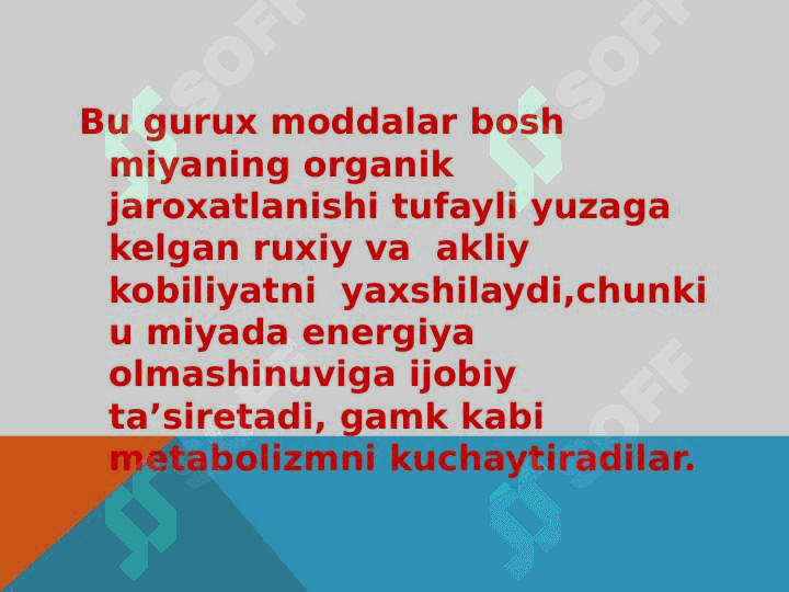 NOOTROP VOSITALAR 2