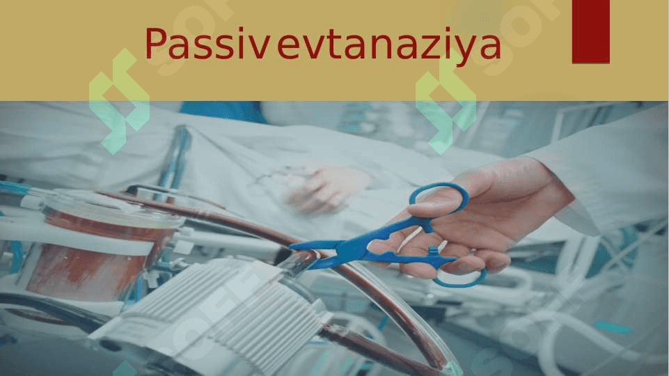 Evtanaziya muammolari 4