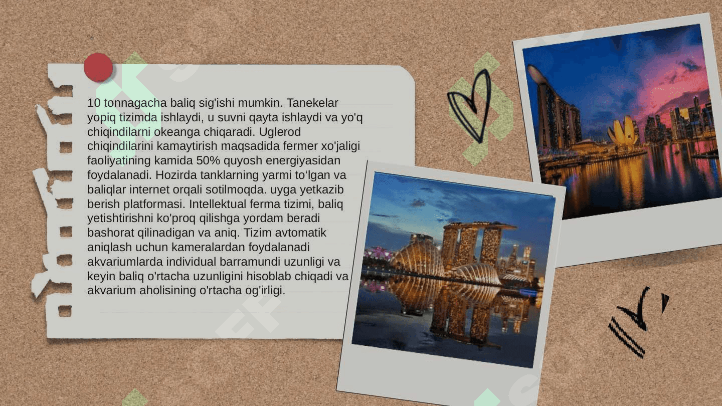 Singapur haqida 8