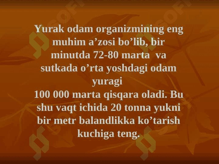 Yurak anatomiyasi. To`liq 4