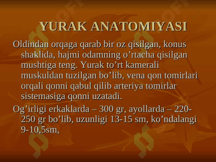 Yurak anatomiyasi. To`liq 5