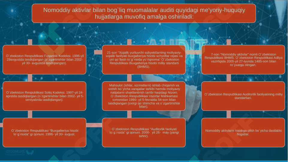 Nomodiy aktivlar auditi 8