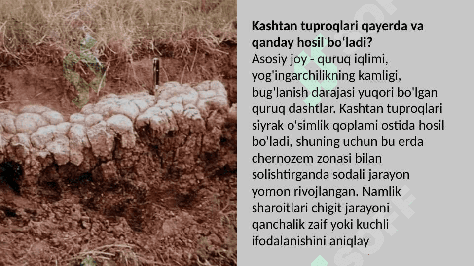 Kashtan tuproqlar 3
