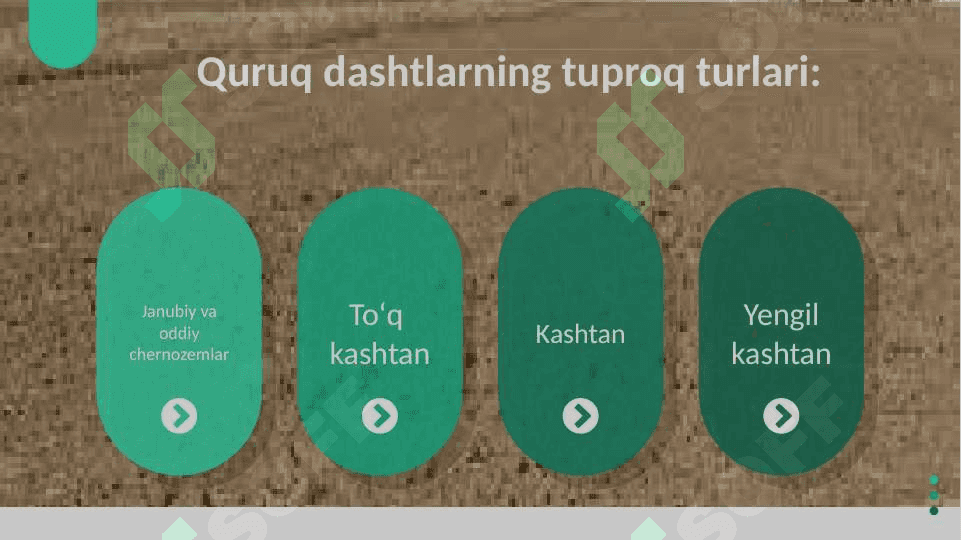 Kashtan tuproqlar 6