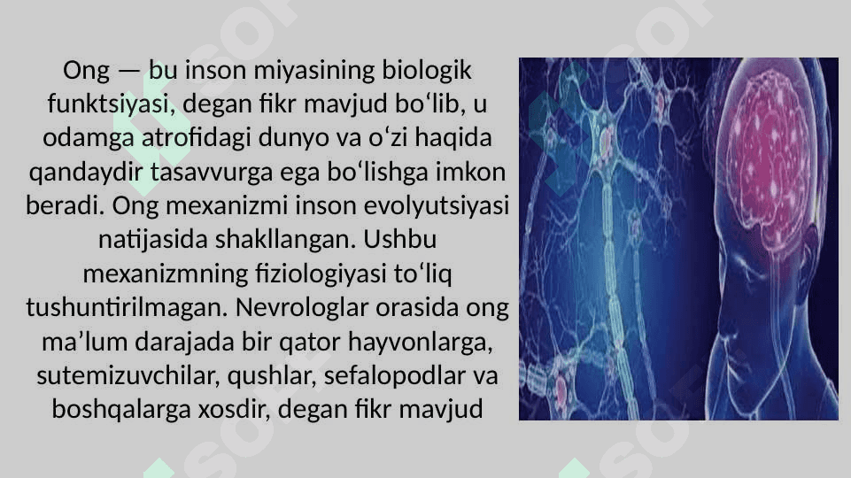 Ong tushunchasi. Ong shakllari. 3
