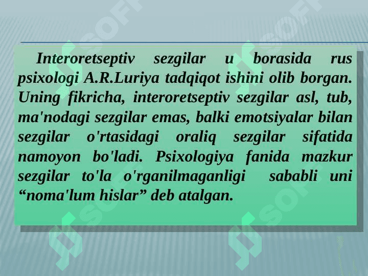 SEZGI 7