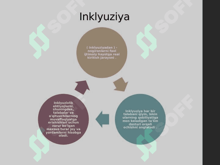 Inklyuziv ta'lim 6
