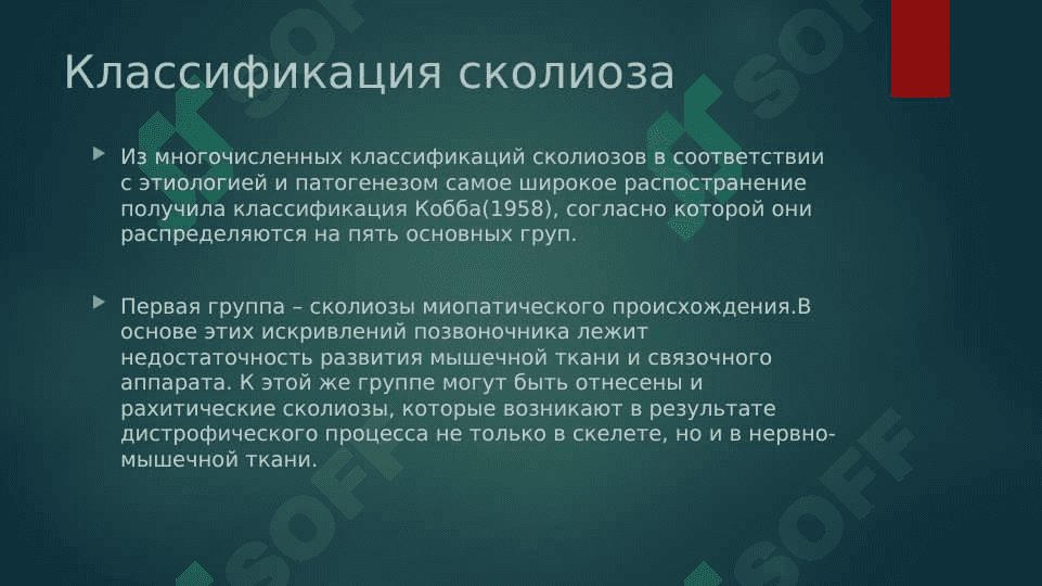 Сколиоз 4