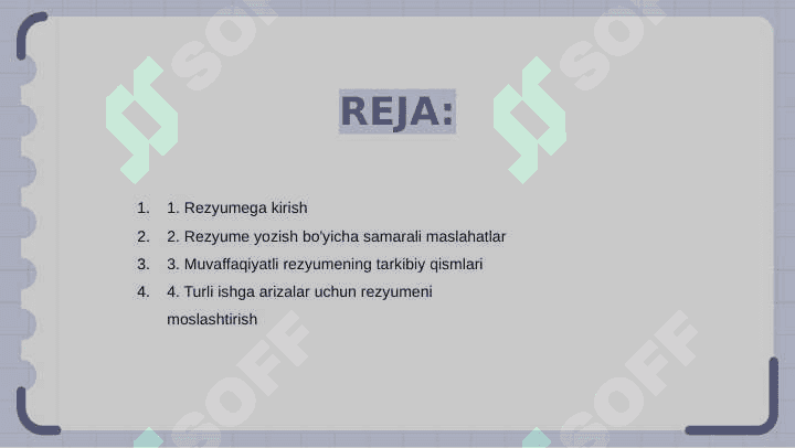 Rezyume 2