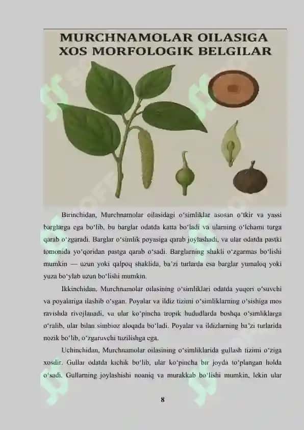 MURCHNAMOLAR QABILASI 8