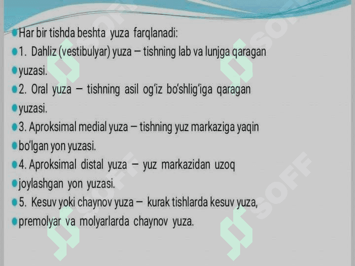 Tishlarning anatomik tuzilishi 5
