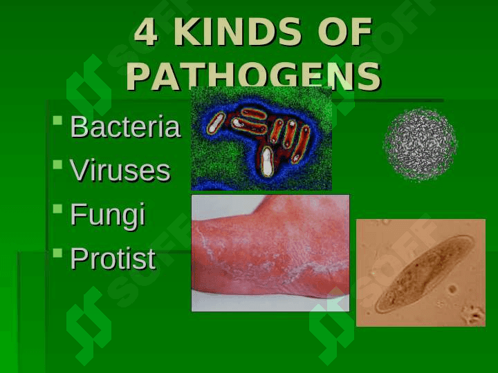 Disease 4