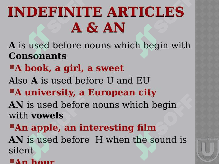 the indefinite article 3