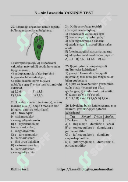 Test 4