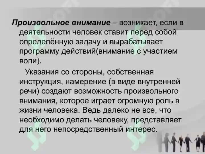 Внимание виды и свойства 6