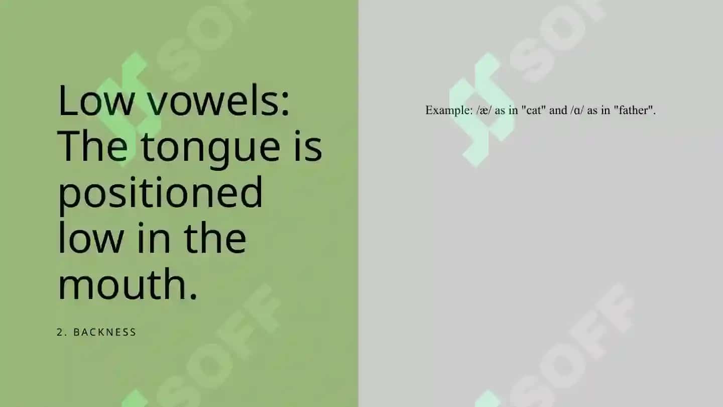 Vowels in the language being studied 6