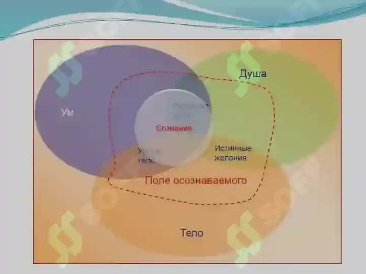 Телесно-ориентированные техники 5