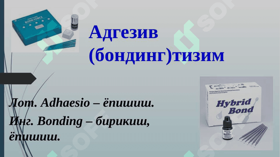 Adgeziv tizimi 2