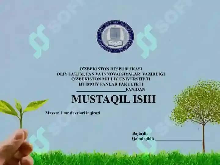 Umr davrlari inqirozlari 2